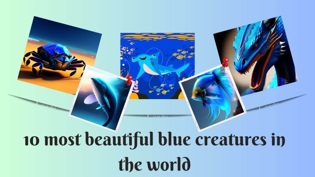 most beautiful blue creatures